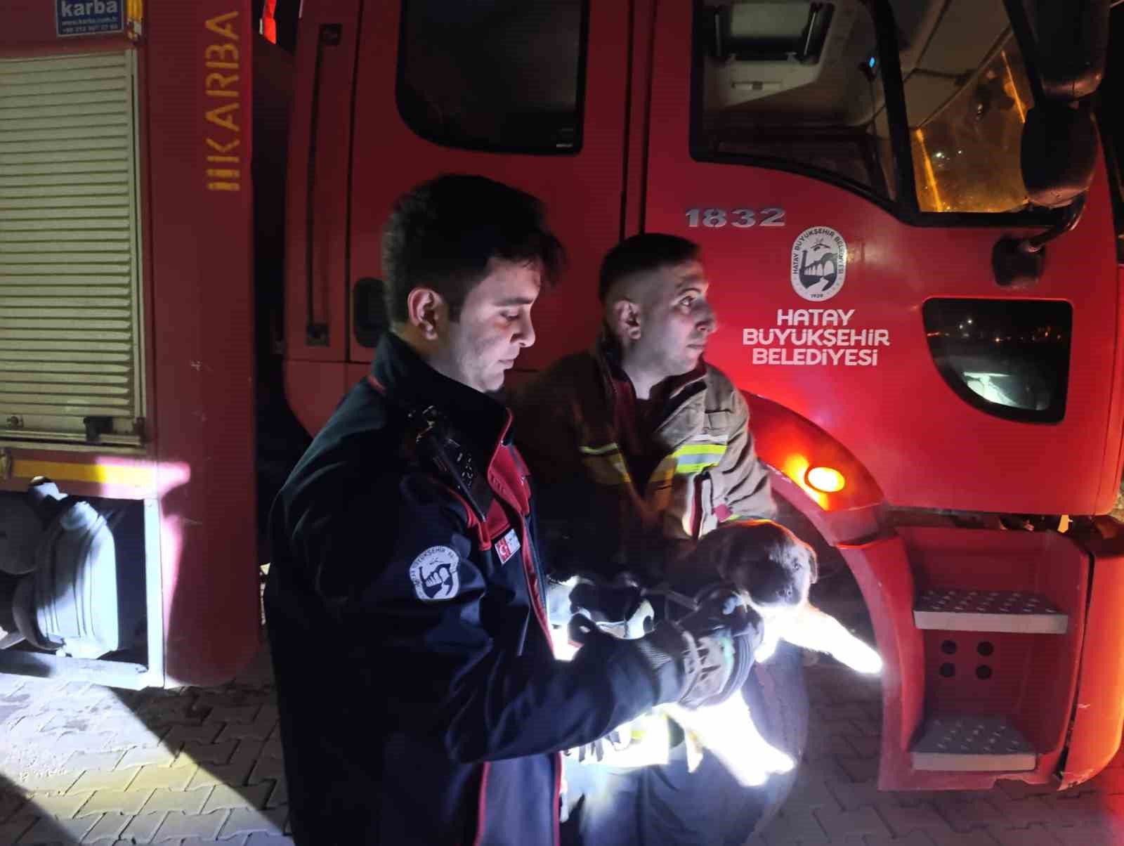 Kuyuya düşen yavru köpeği itfaiye kurtardı
