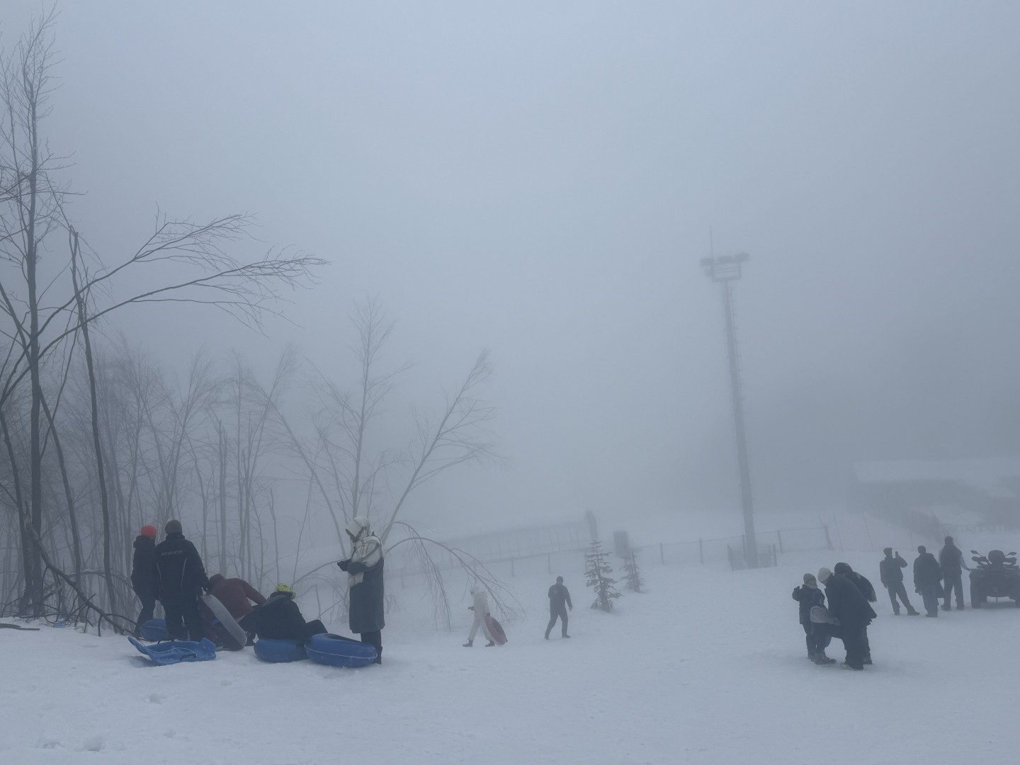 Kuzuyayla’da tatilcilere kar ve kızıl geyik sürprizi
