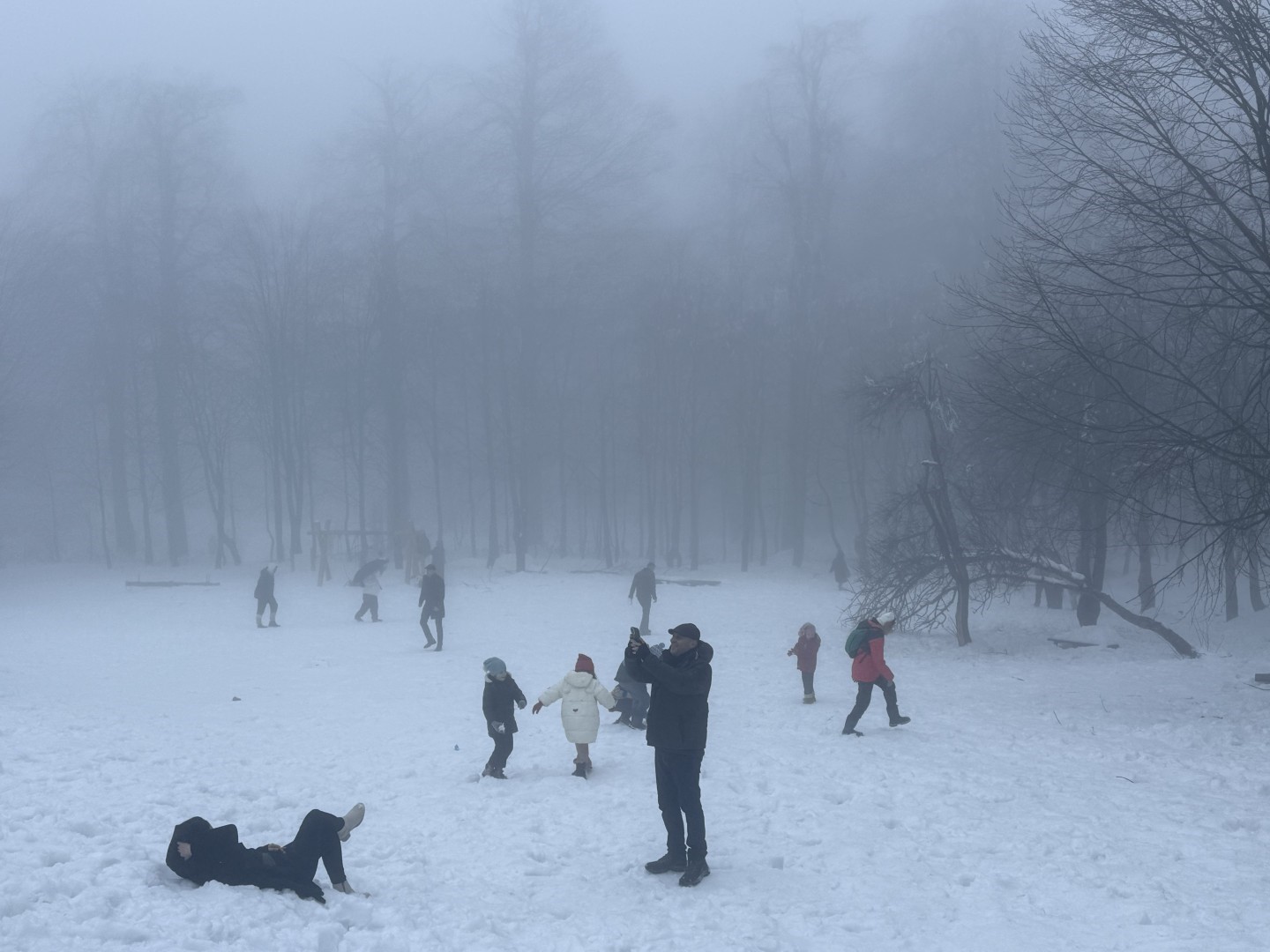 Kuzuyayla’da tatilcilere kar ve kızıl geyik sürprizi
