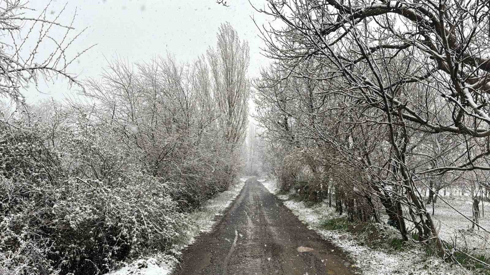 Lapa lapa yağan kar ilçeyi beyaza bürüdü
