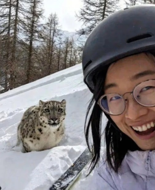 Leoparla selfie çekmek istedi, ölümden son anda kurtuldu
