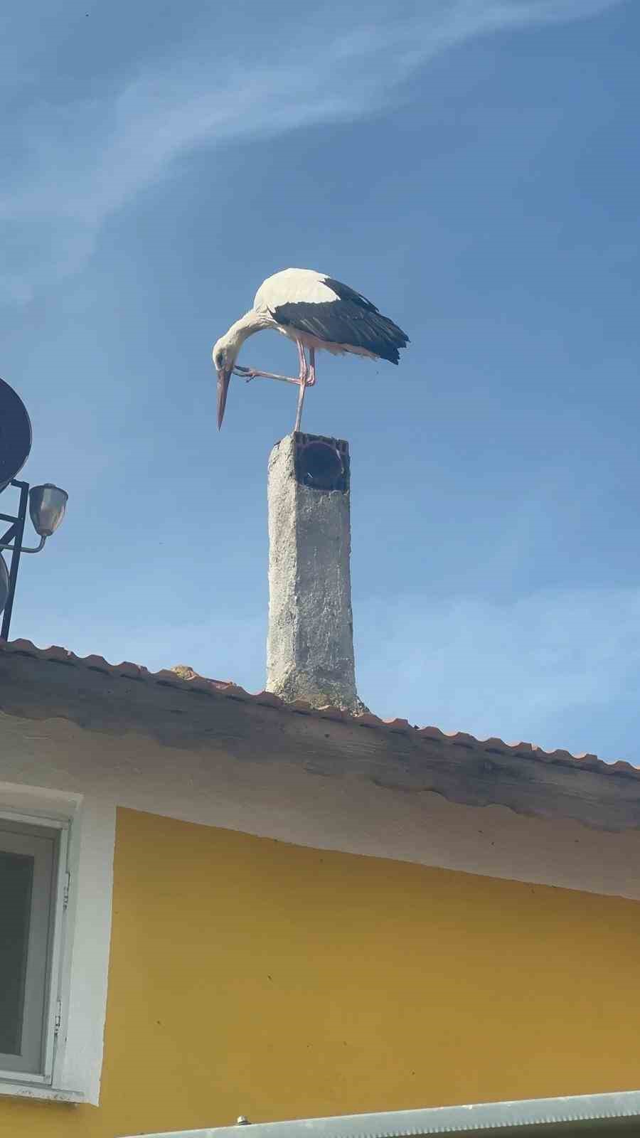 Leylek köyünde büyük sevinç: Eşi geldi, herkes Yaren’i bekliyor
Leylek köyünde büyük sevinç: Eşi geldi, herkes Yaren’i bekliyor