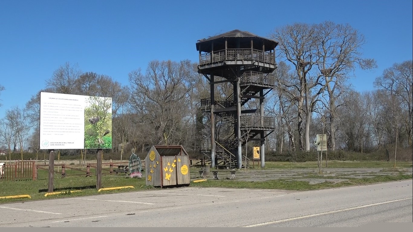 Leylekler baharın müjdesiyle geri döndü
