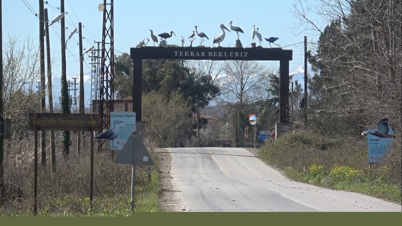 Leylekler baharın müjdesiyle geri döndü
