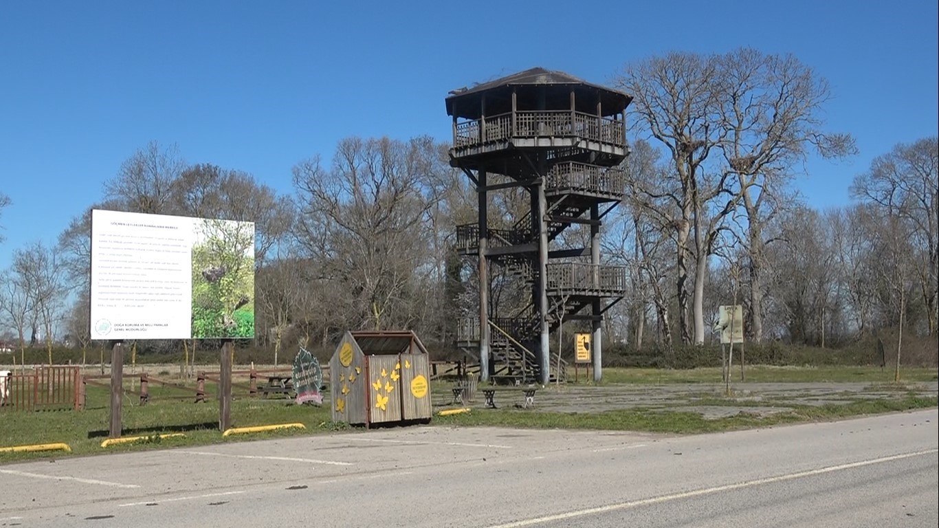 Leylekler baharın müjdesiyle geri döndü
