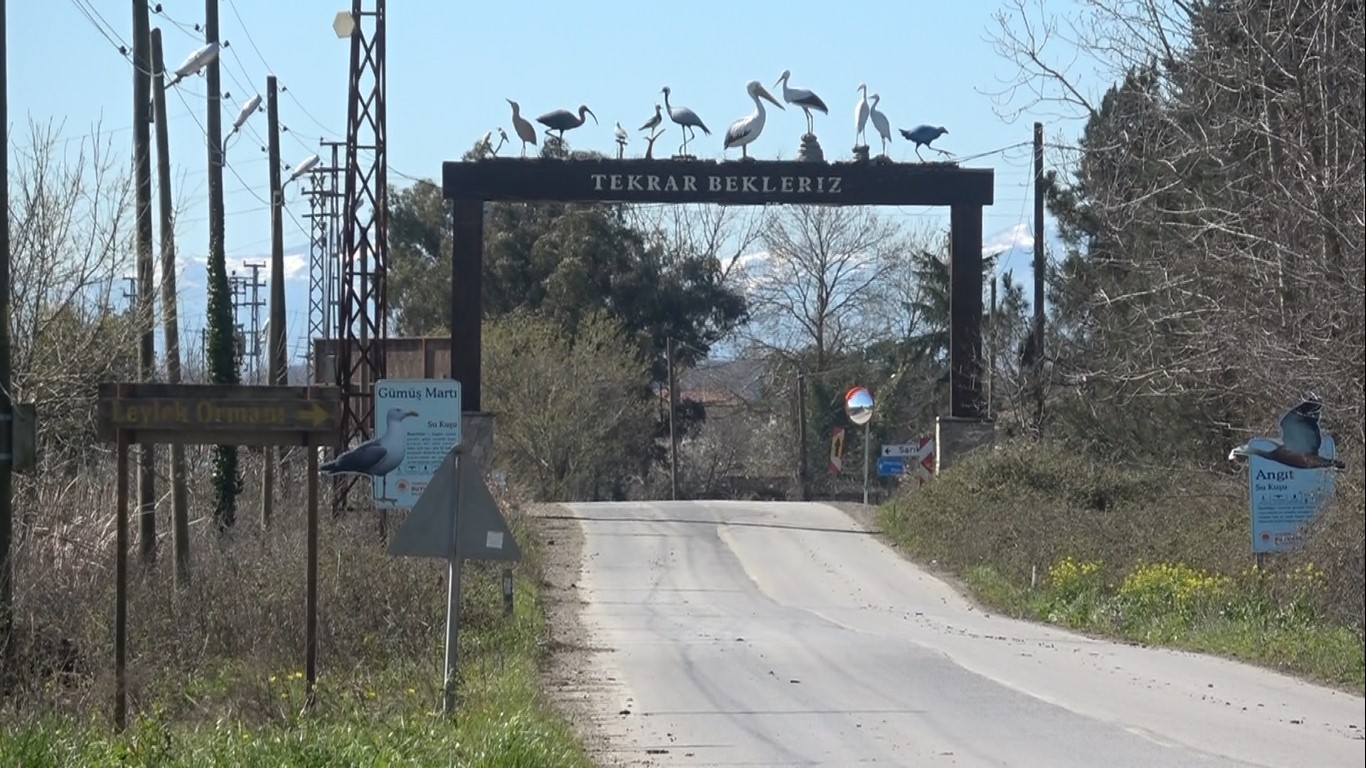 Leylekler baharın müjdesiyle geri döndü
