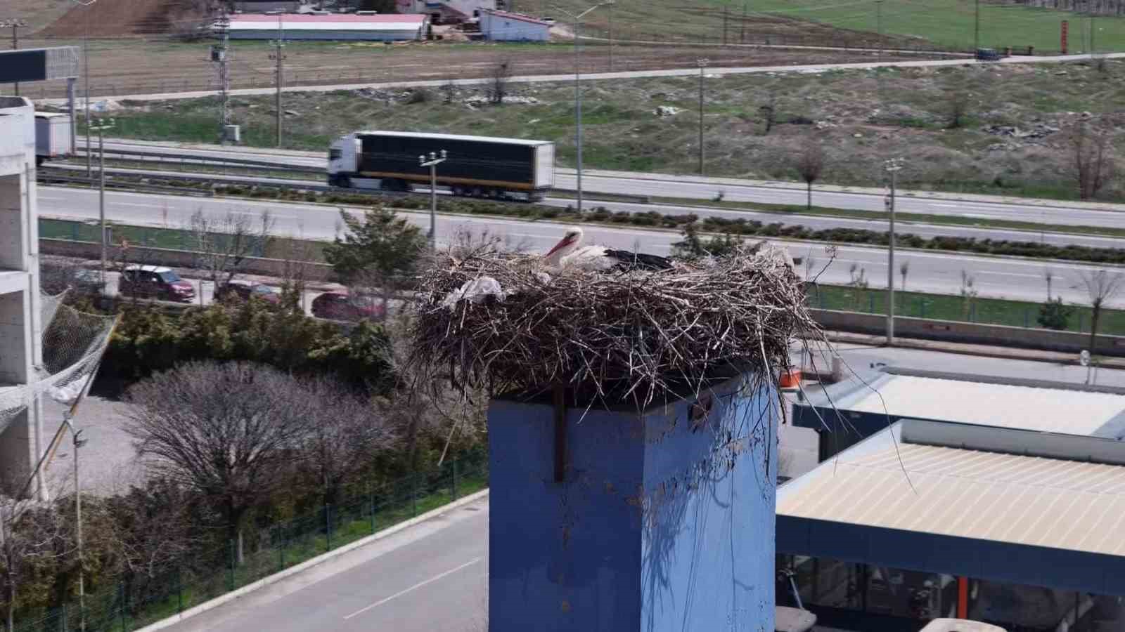 Leylekler yuvaya döndü, fabrikada üretime ara verildi
