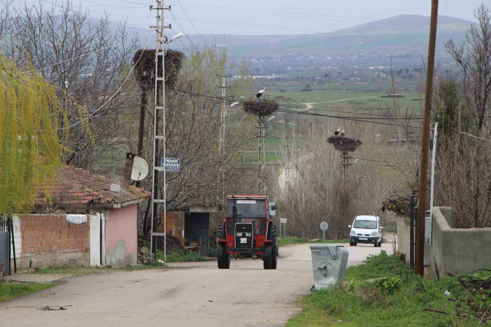 Leyleklere ‘Saygılı’ köy: Bütün elektrik direkleri yuva oldu, leylekler için tedbir alındı
