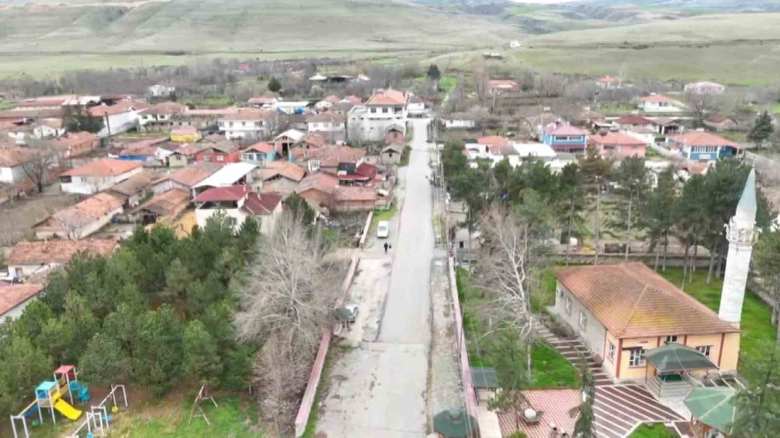 Leyleklere ‘Saygılı’ köy: Bütün elektrik direkleri yuva oldu, leylekler için tedbir alındı
