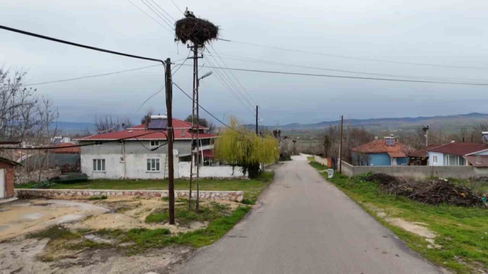 Leyleklere ‘Saygılı’ köy: Bütün elektrik direkleri yuva oldu, leylekler için tedbir alındı
