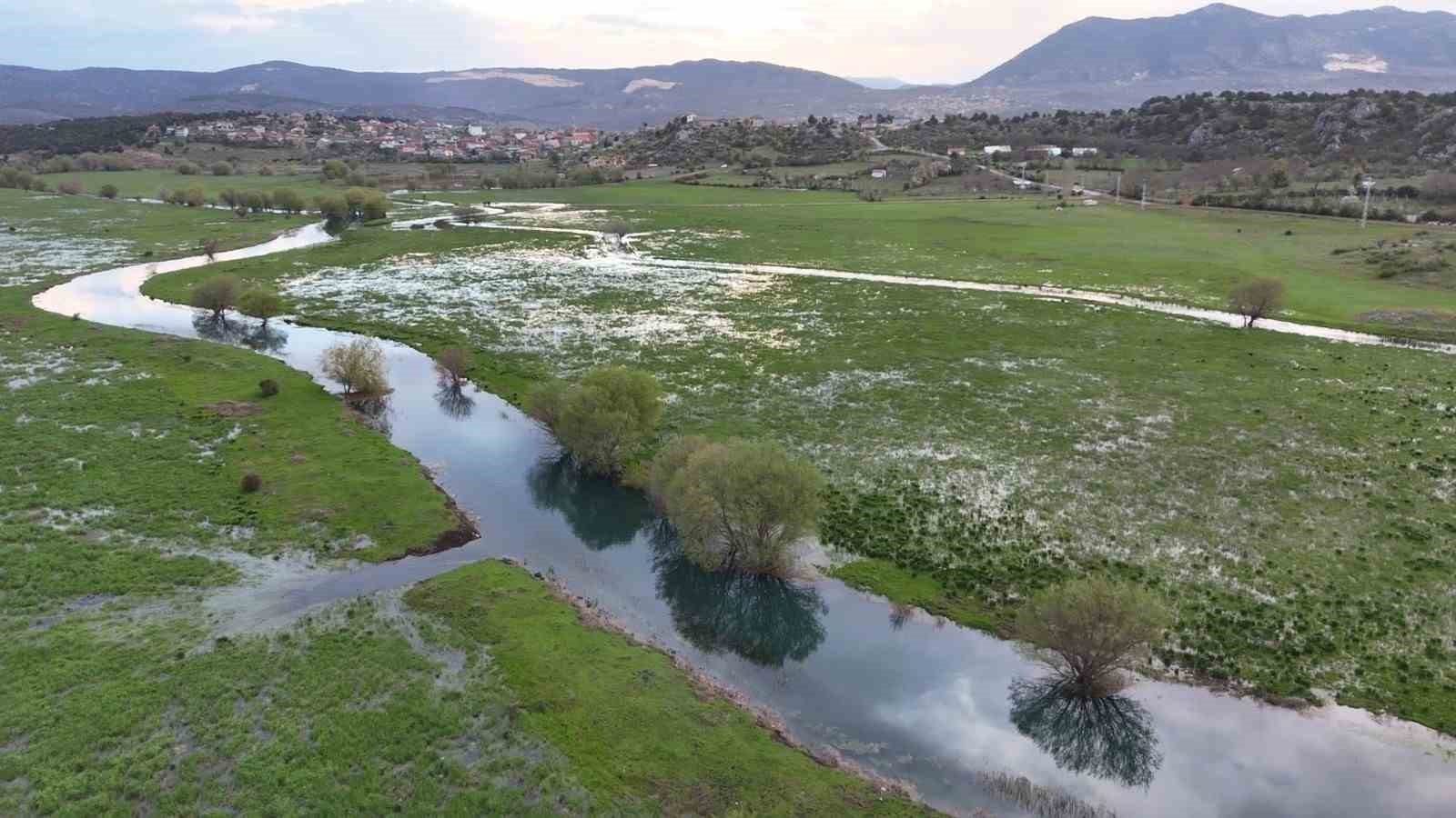 Leyleklerin durağı yemyeşil görüntüsüyle mest ediyor

