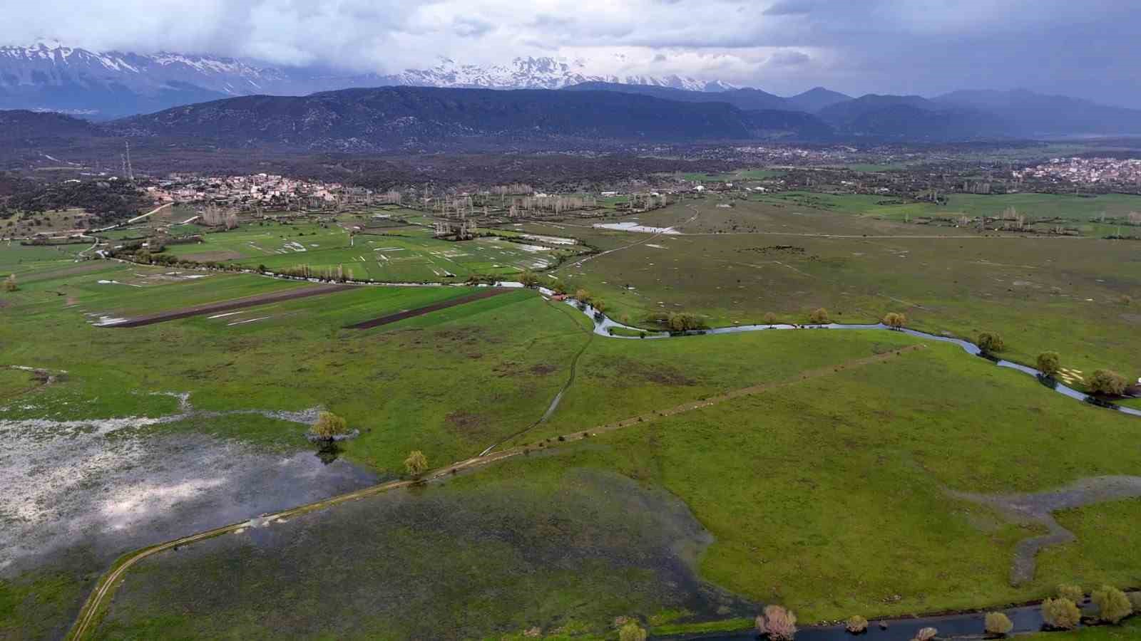 Leyleklerin durağı yemyeşil görüntüsüyle mest ediyor
