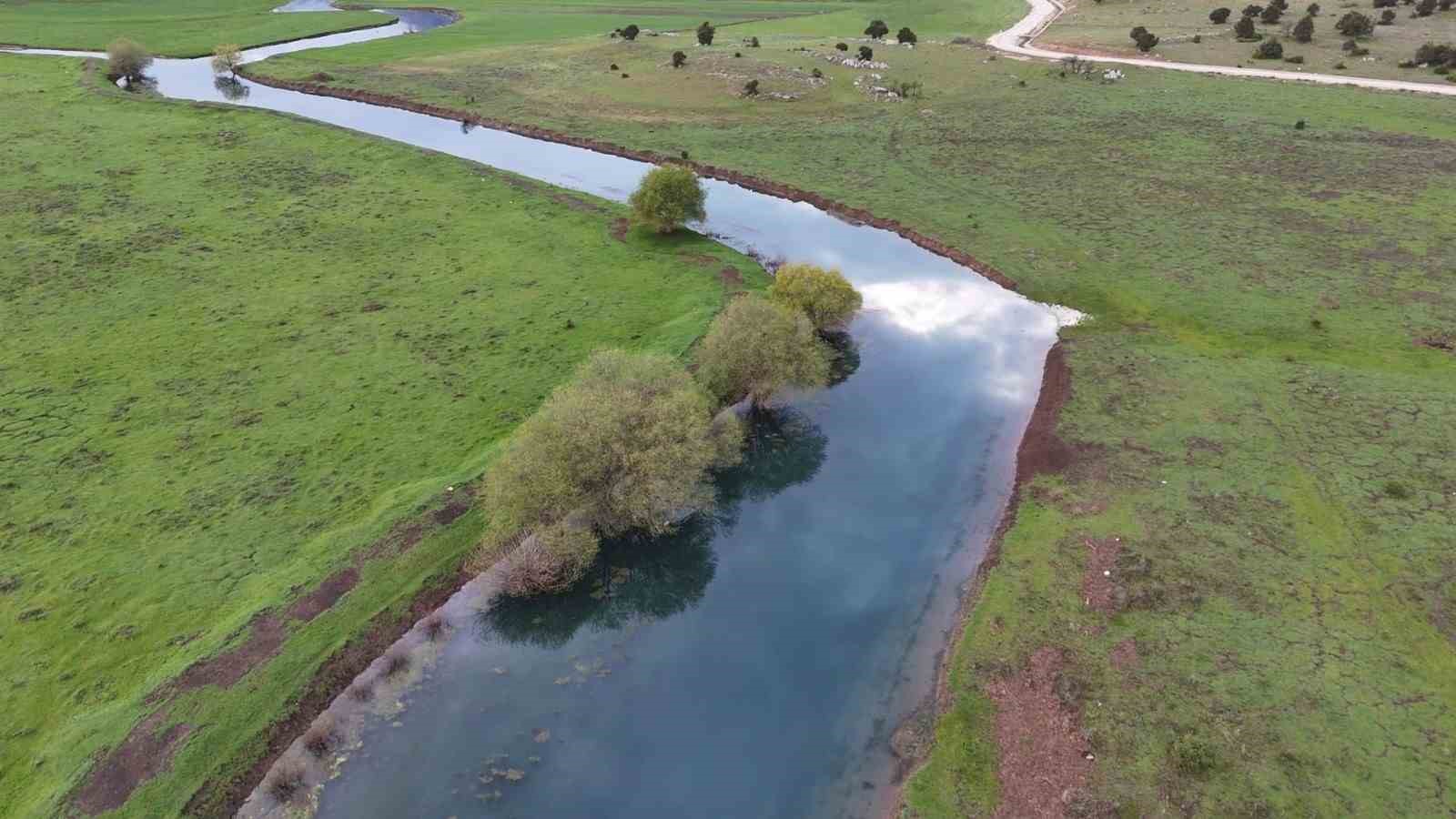 Leyleklerin durağı yemyeşil görüntüsüyle mest ediyor

