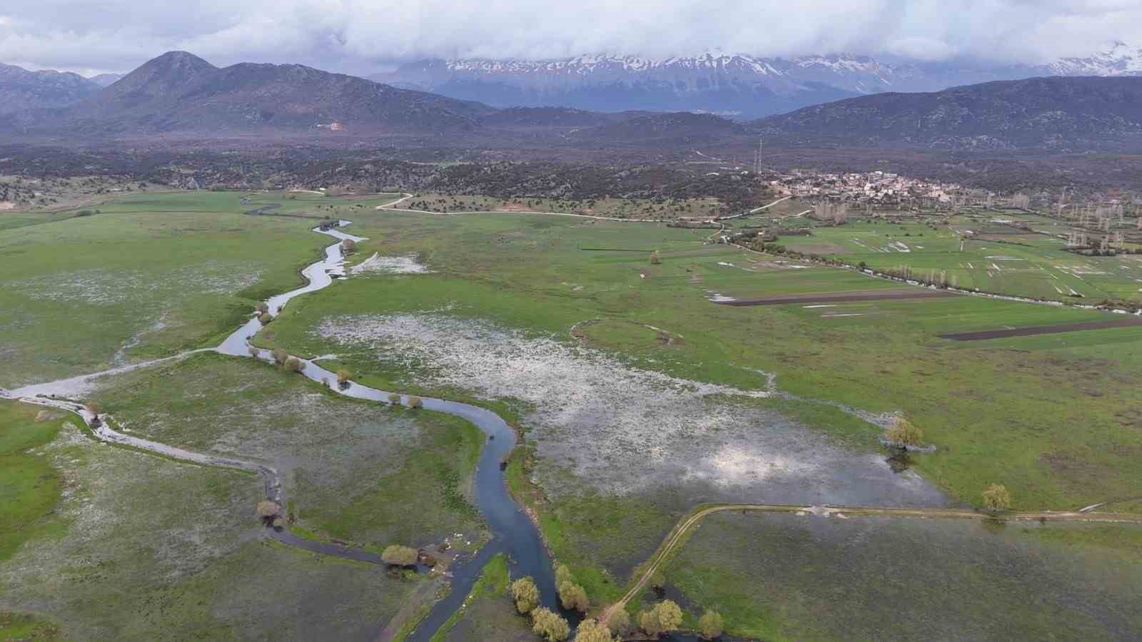 Leyleklerin durağı yemyeşil görüntüsüyle mest ediyor
