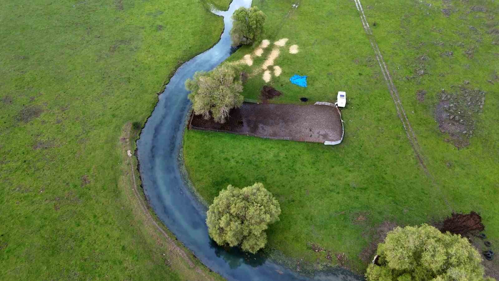 Leyleklerin durağı yemyeşil görüntüsüyle mest ediyor
