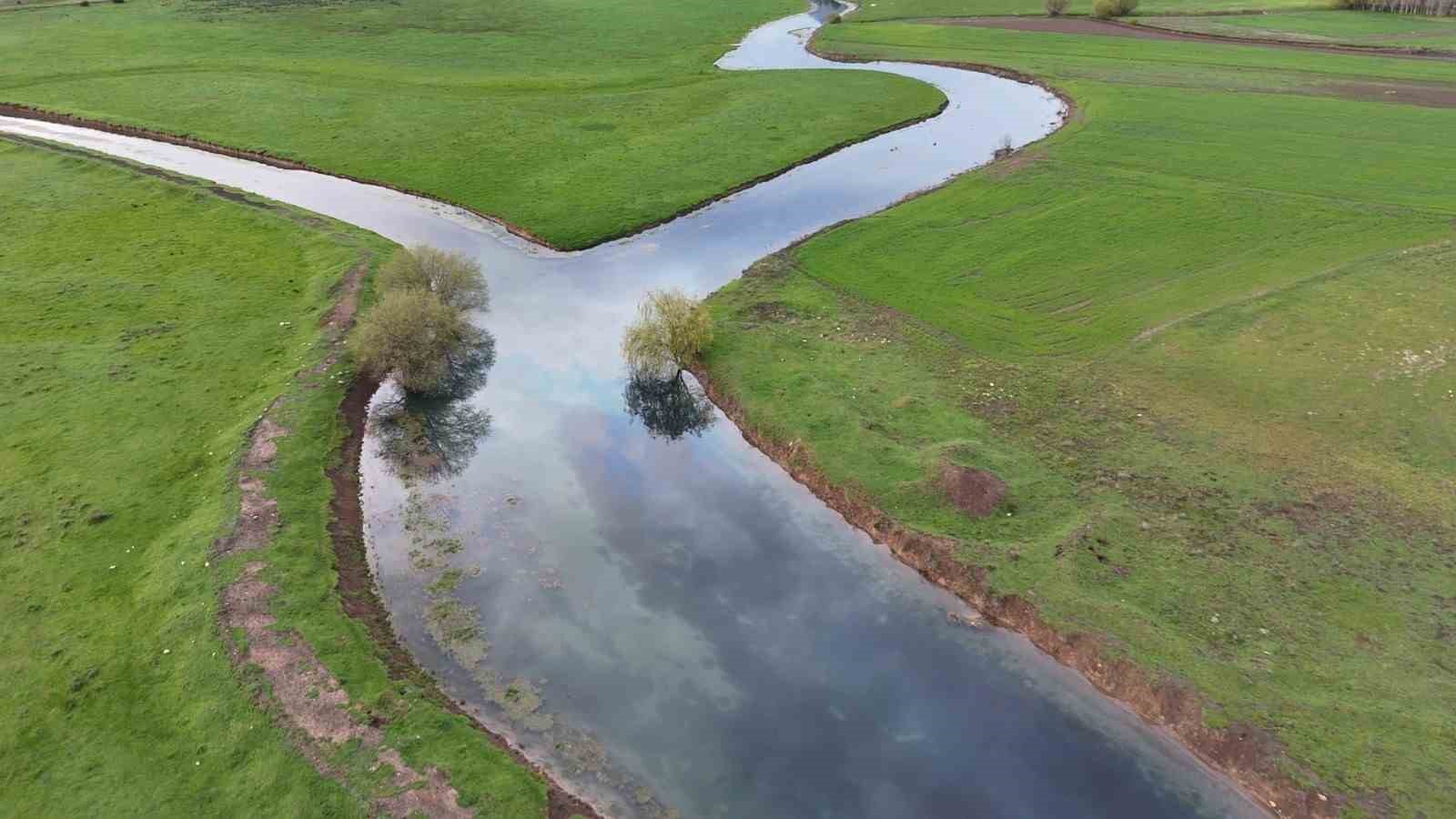 Leyleklerin durağı yemyeşil görüntüsüyle mest ediyor
