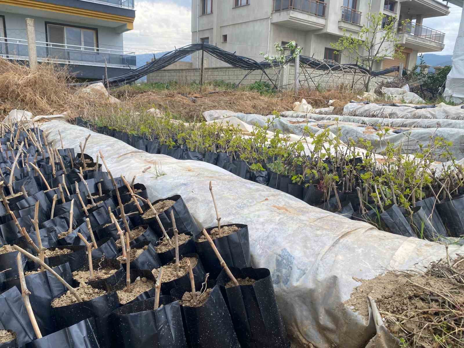 Liselilerden bölge tarımına büyük katkı
