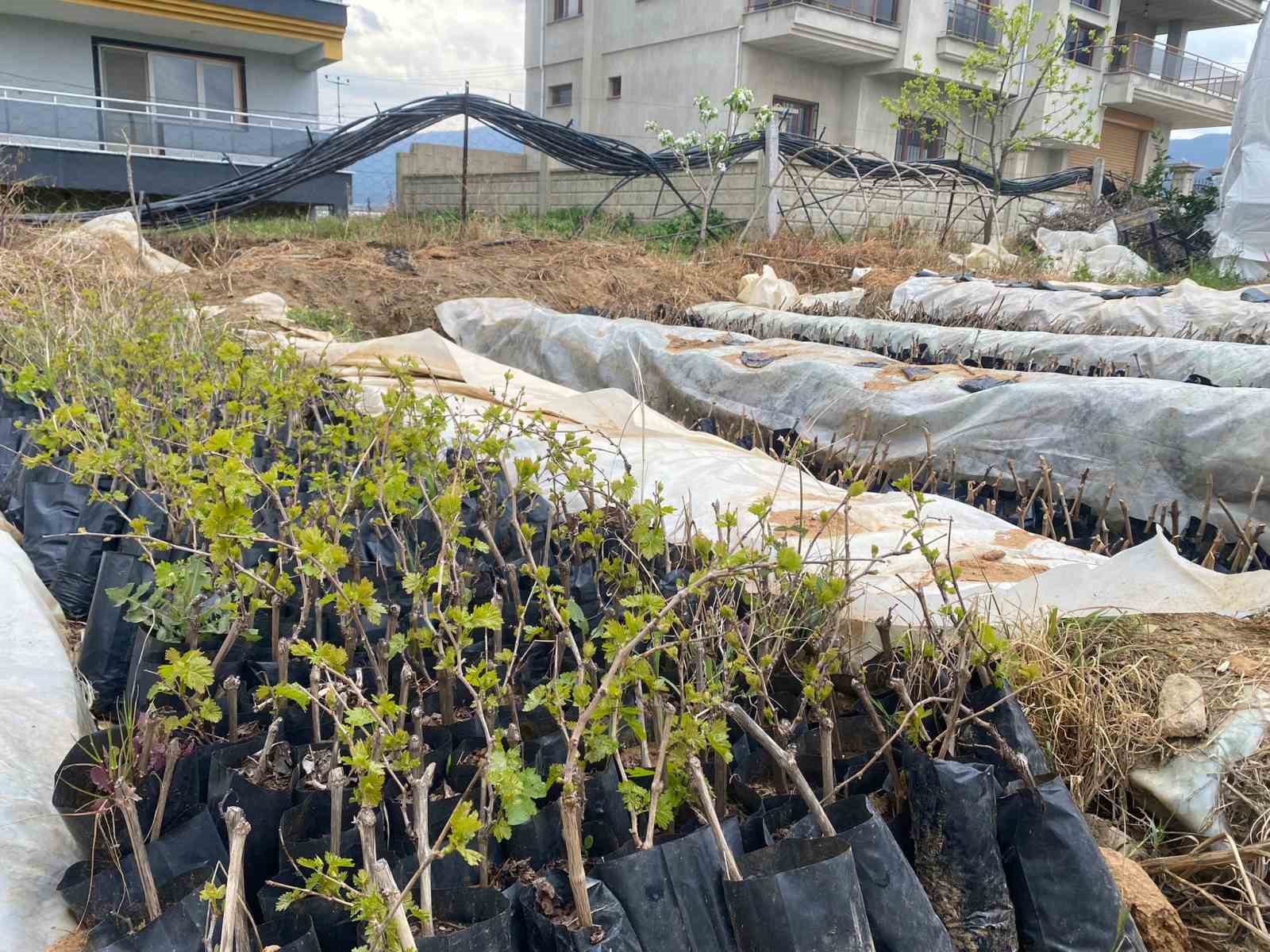 Liselilerden bölge tarımına büyük katkı
