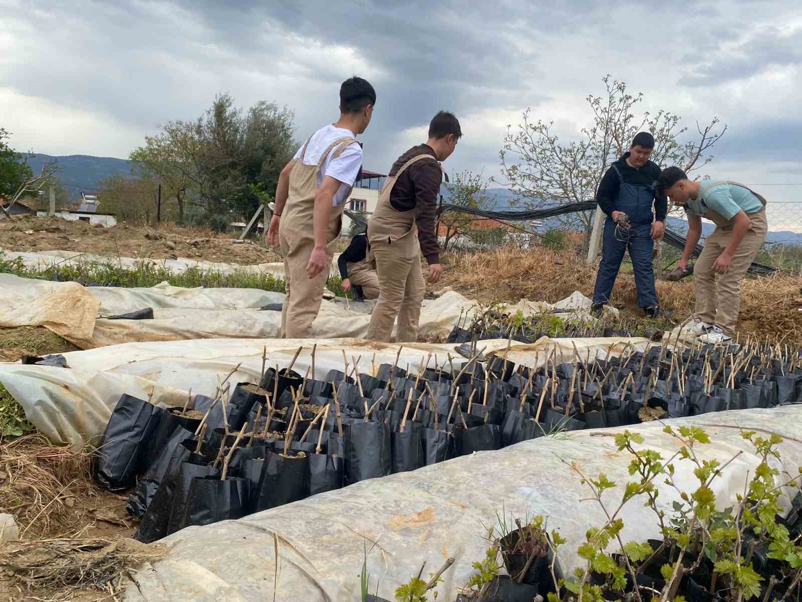 Liselilerden bölge tarımına büyük katkı
