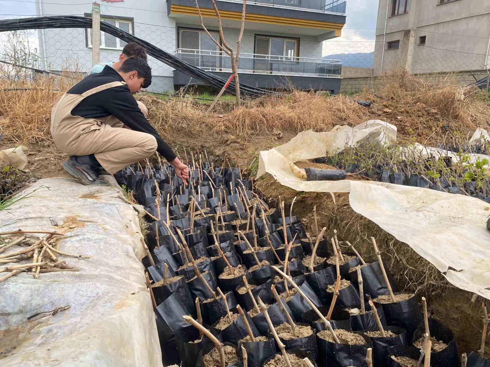 Liselilerden bölge tarımına büyük katkı
