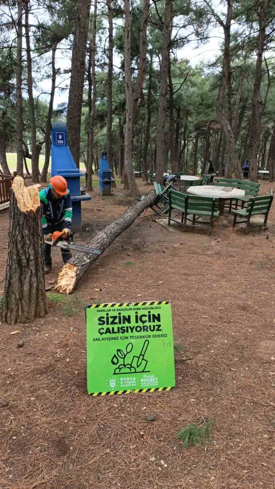 Lodosa karşı büyükşehir ekipleri sahada
