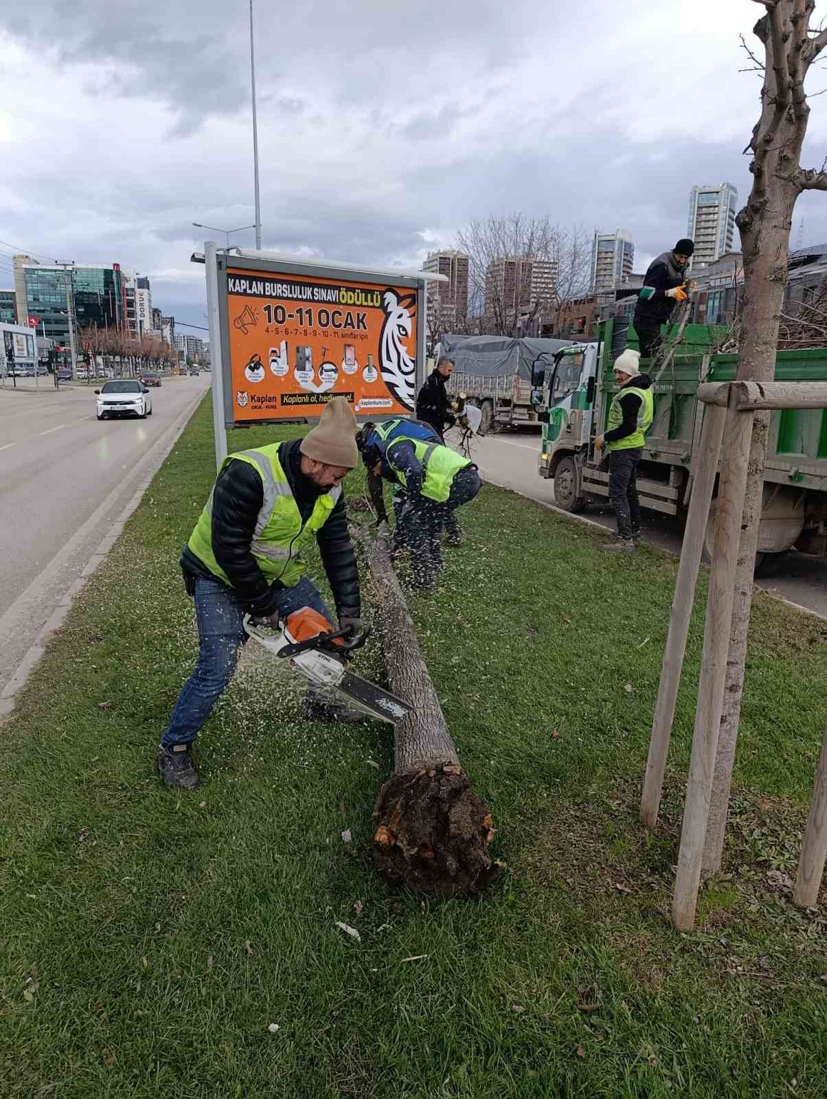 Lodosa karşı büyükşehir ekipleri sahada
