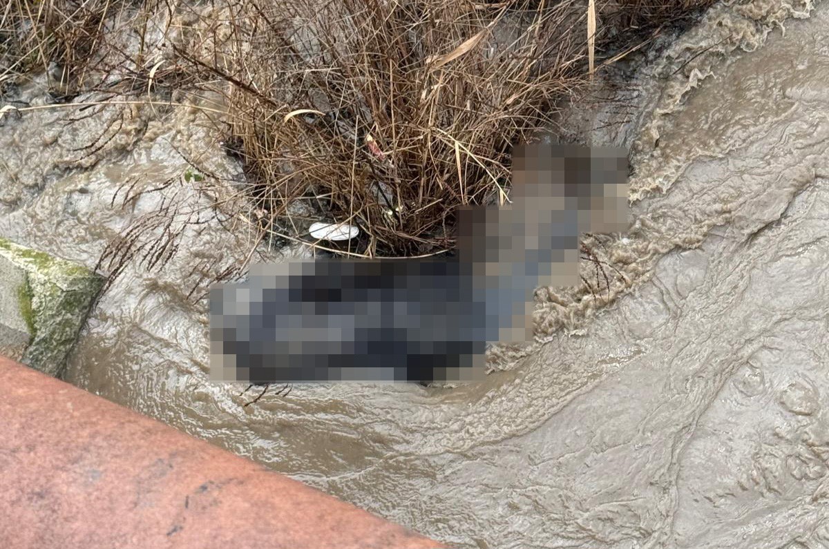 Lüleburgaz’da dere yatağında ceset bulundu
