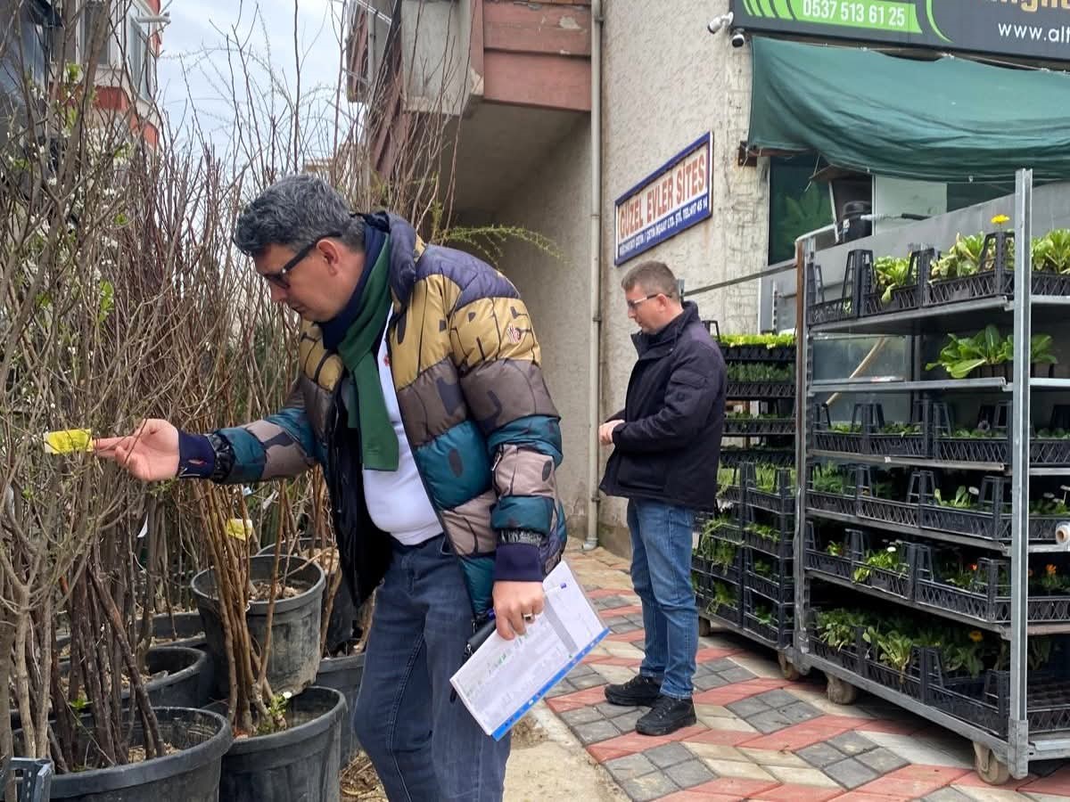 Lüleburgaz’da fidan satış noktalarına denetim
