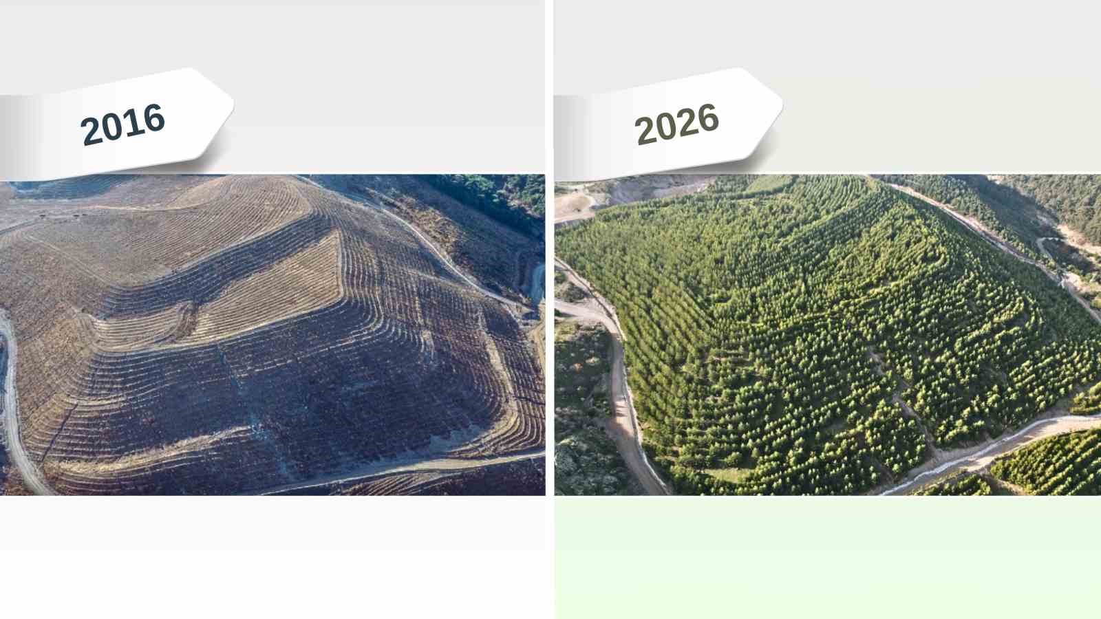 Maden sahaları rehabilitasyonla yeniden yeşeriyor
