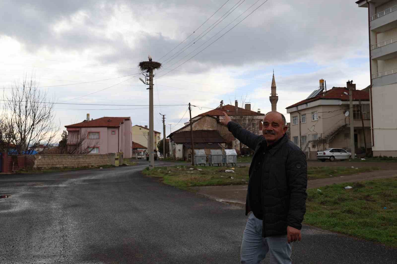 Mahallenin maskotu oldular, baharla birlikte yuvalarına döndüler
