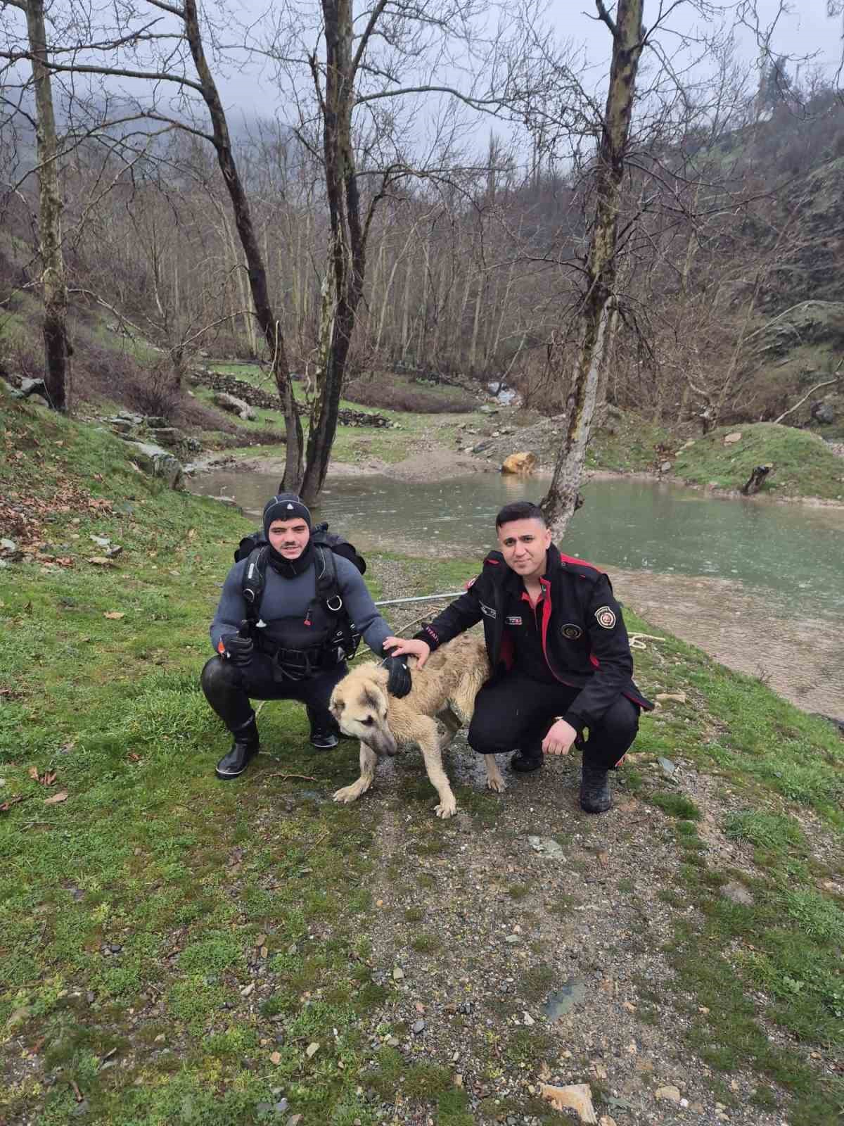 Mahsur kalan köpeği itfaiye ekipleri kurtardı
