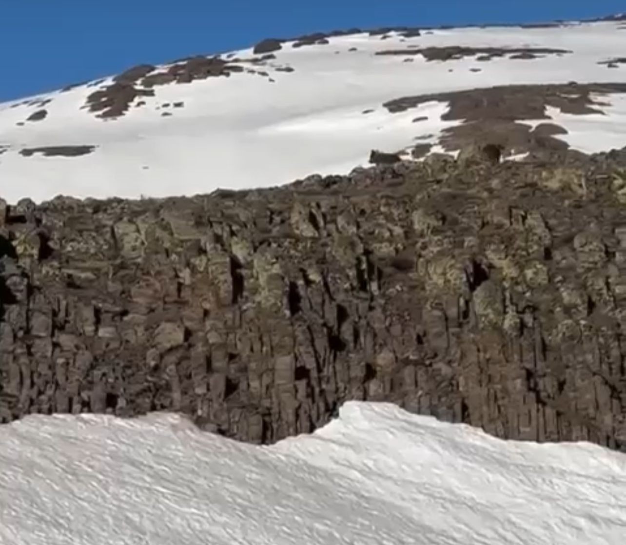 Malatya’da ayı ve yavrusu görüntülendi
