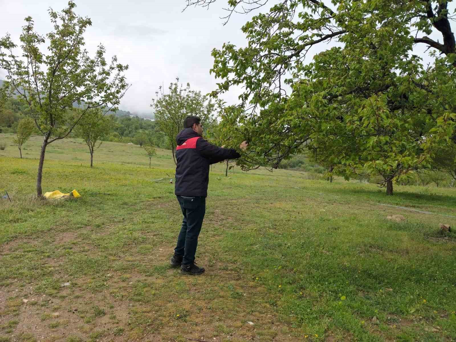 Malatya’da dolu sonrası hasar tespit çalışmaları başlatıldı
