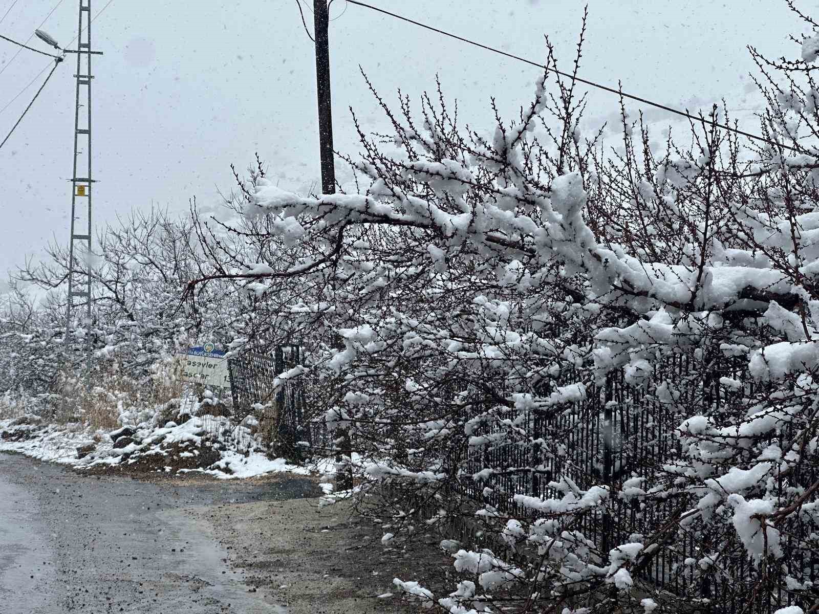 Malatya’da kayısı bahçeleri kar altında kaldı
