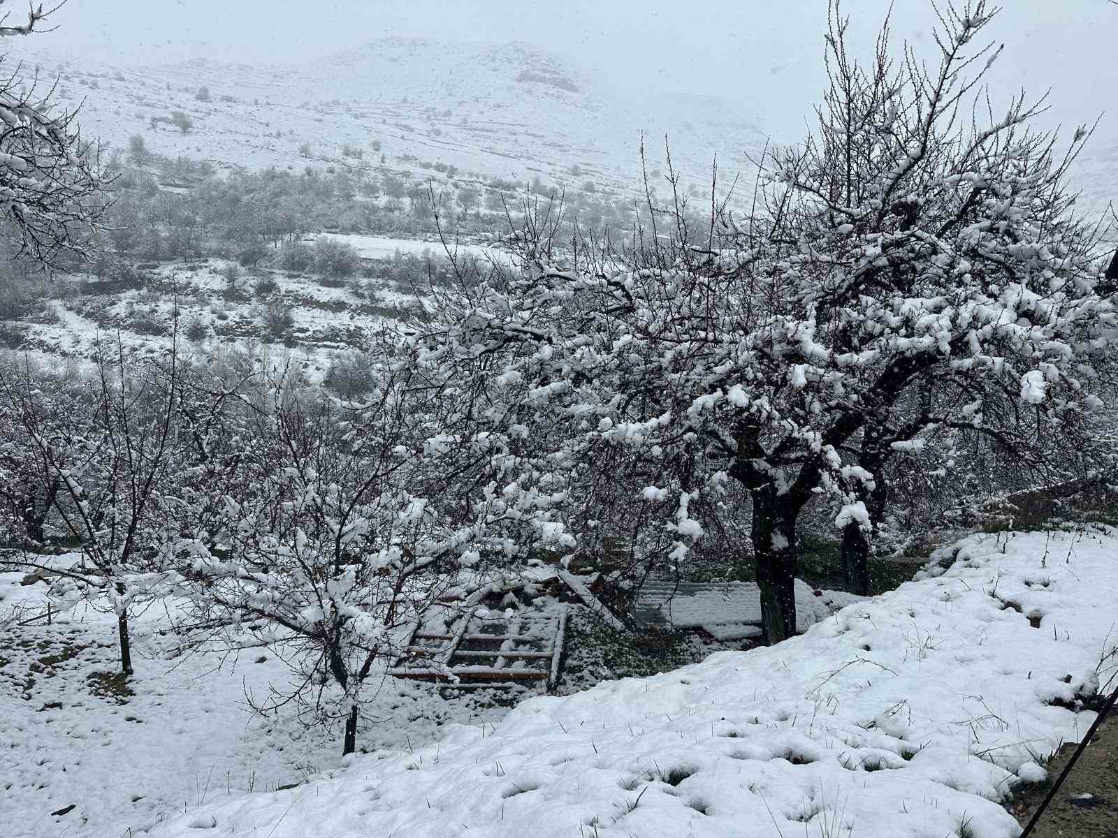 Malatya’da kayısı bahçeleri kar altında kaldı
