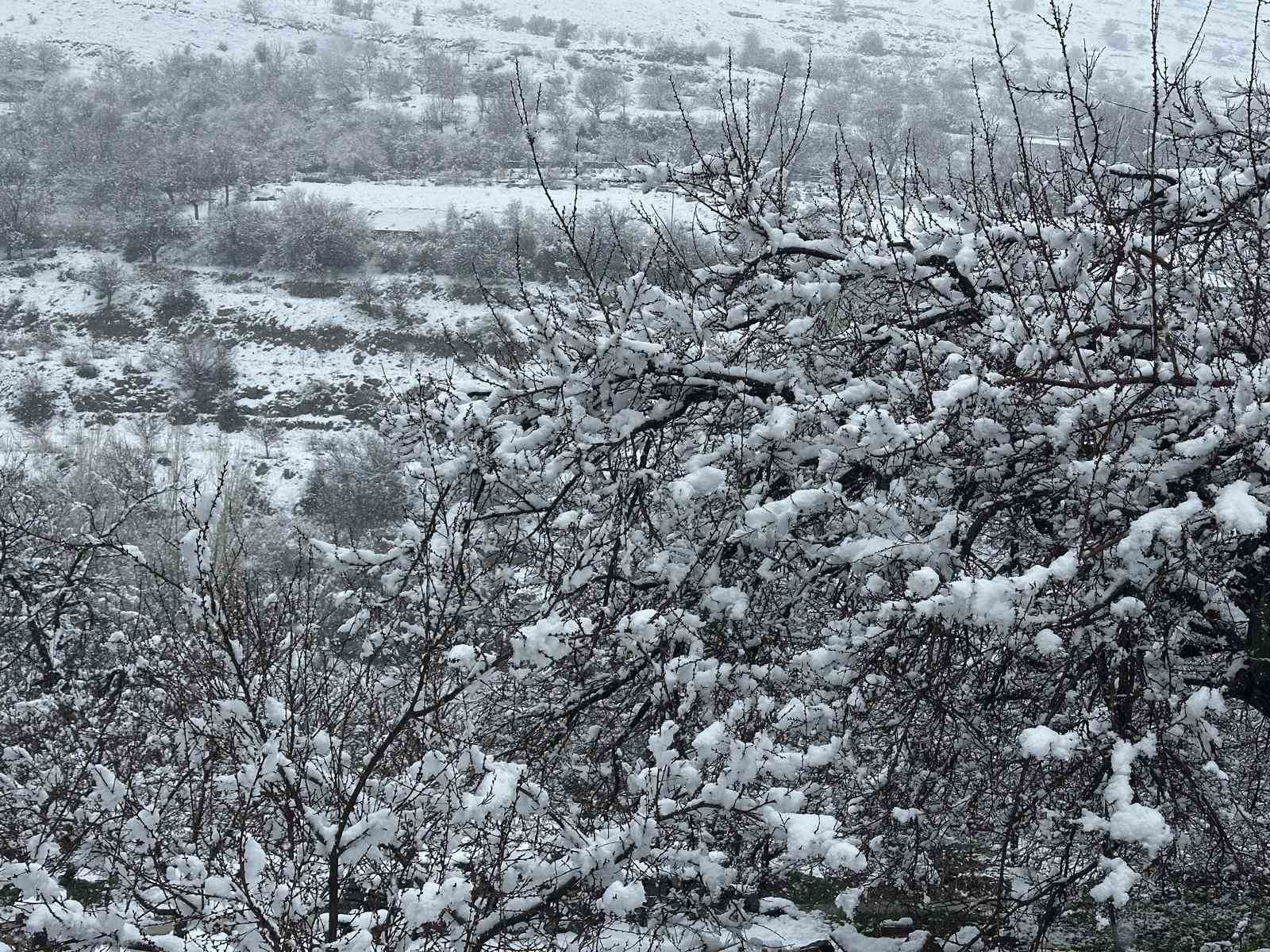 Malatya’da kayısı bahçeleri kar altında kaldı
