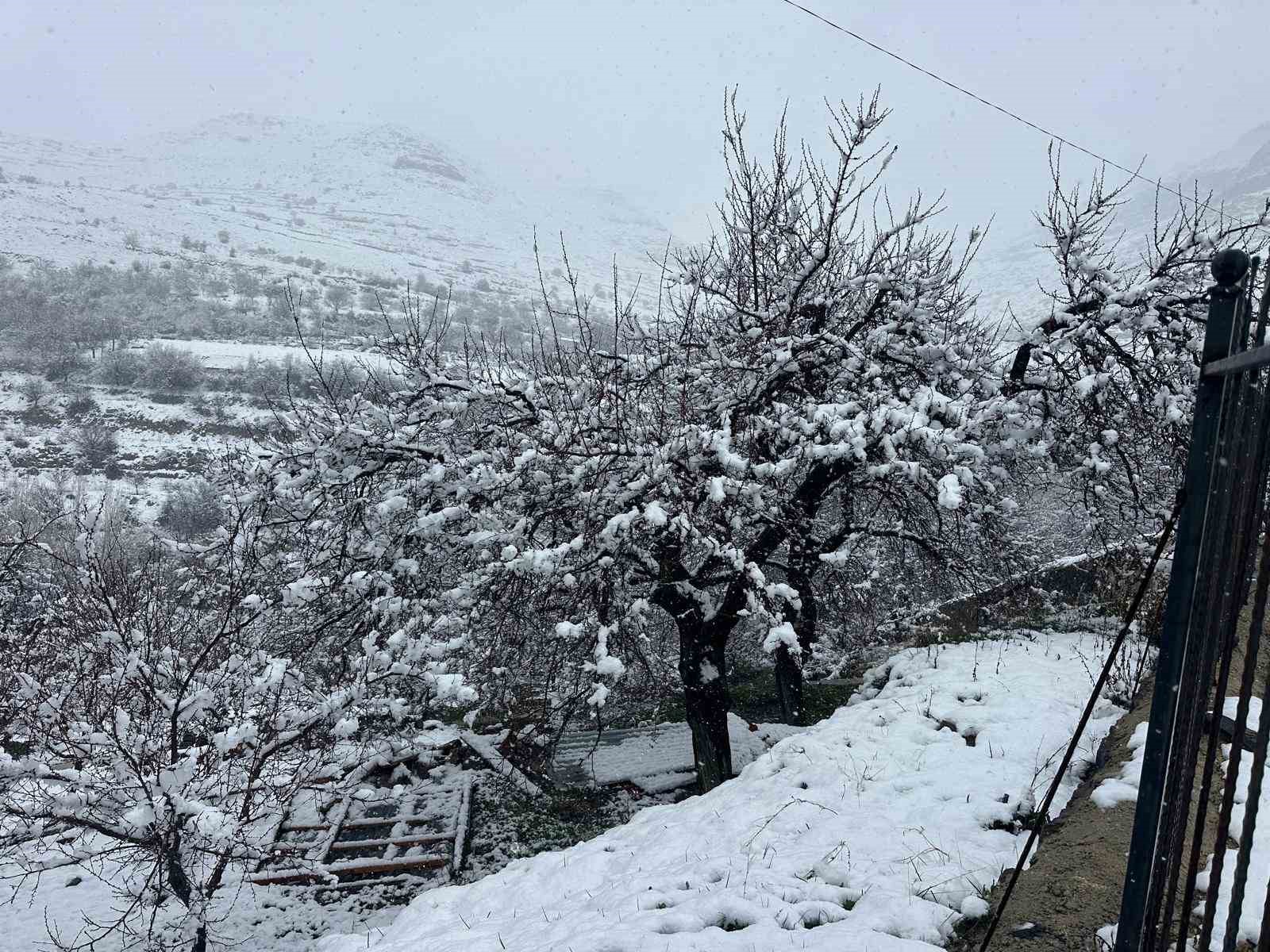 Malatya’da kayısı bahçeleri kar altında kaldı
