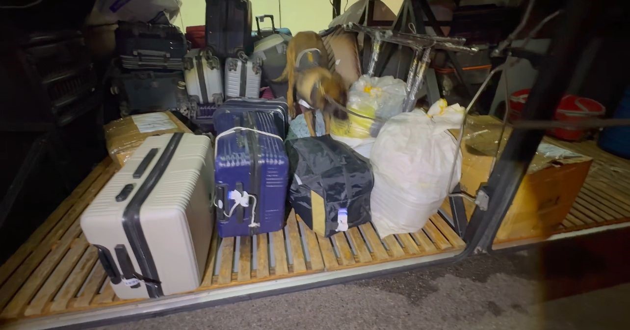 Malatya’da uyuşturucu operasyonu: 1 tutuklama
