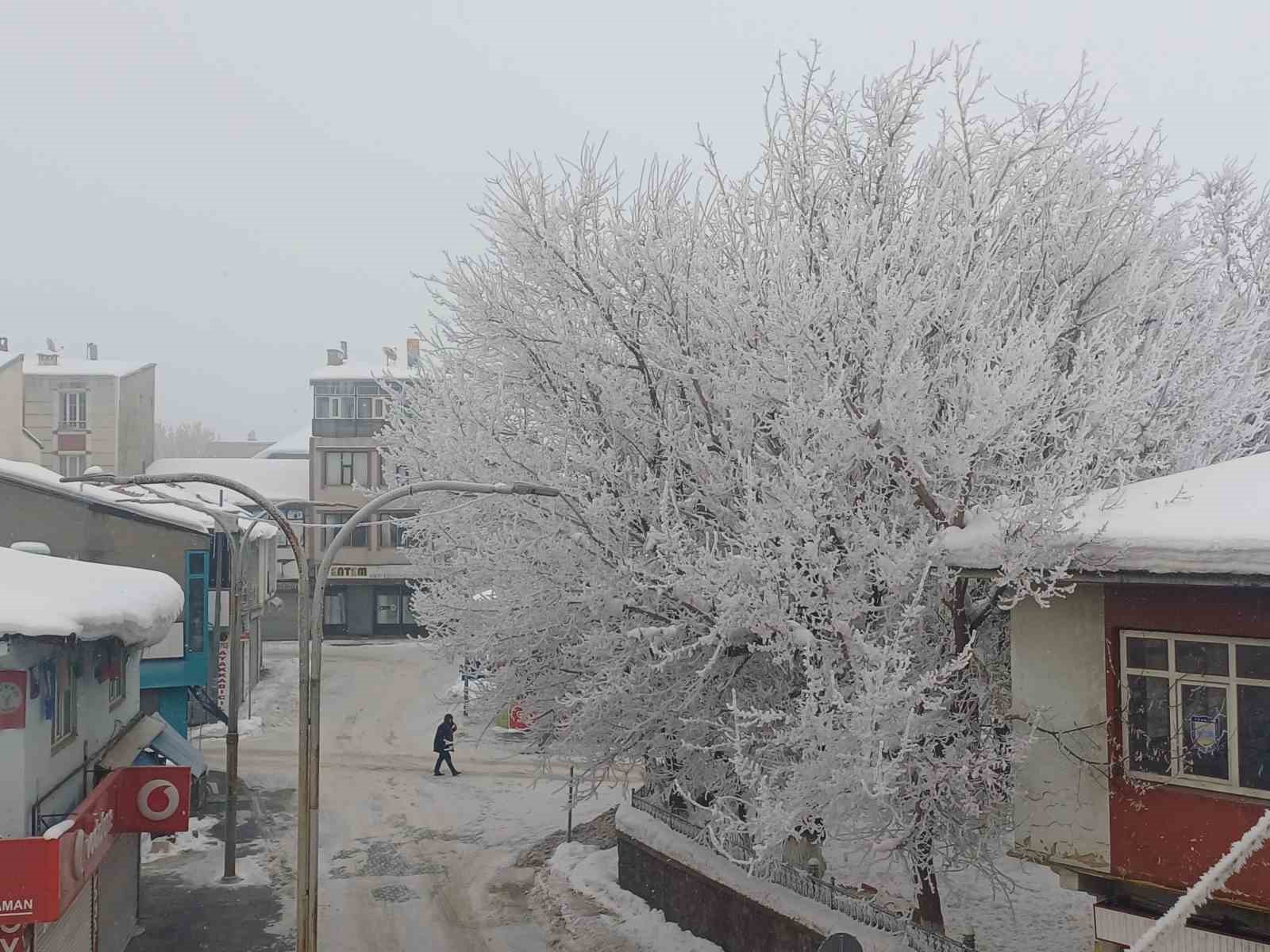 Malazgirt’te dondurucu soğuklar görsel şölene dönüştü
