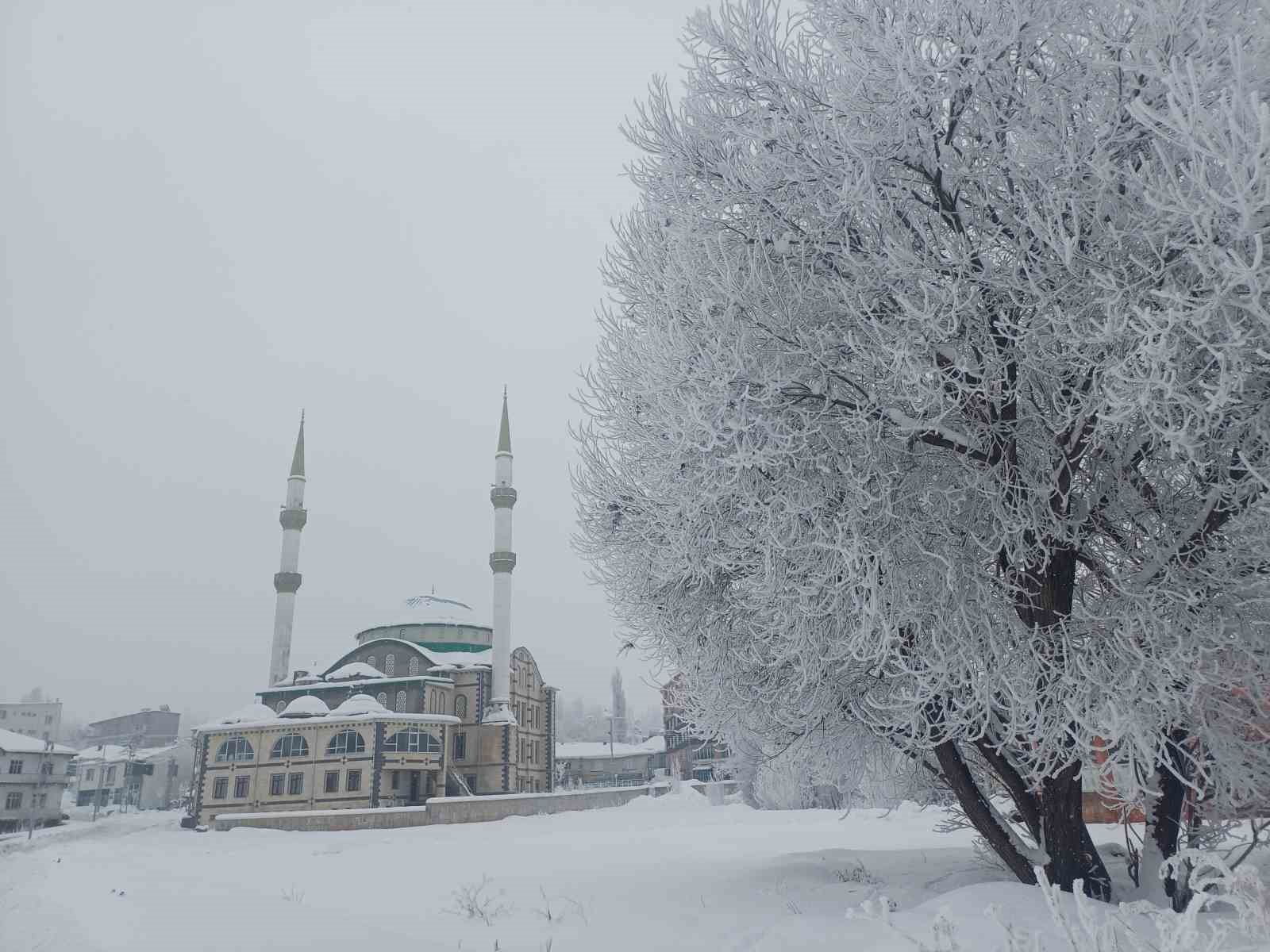 Malazgirt’te dondurucu soğuklar görsel şölene dönüştü
