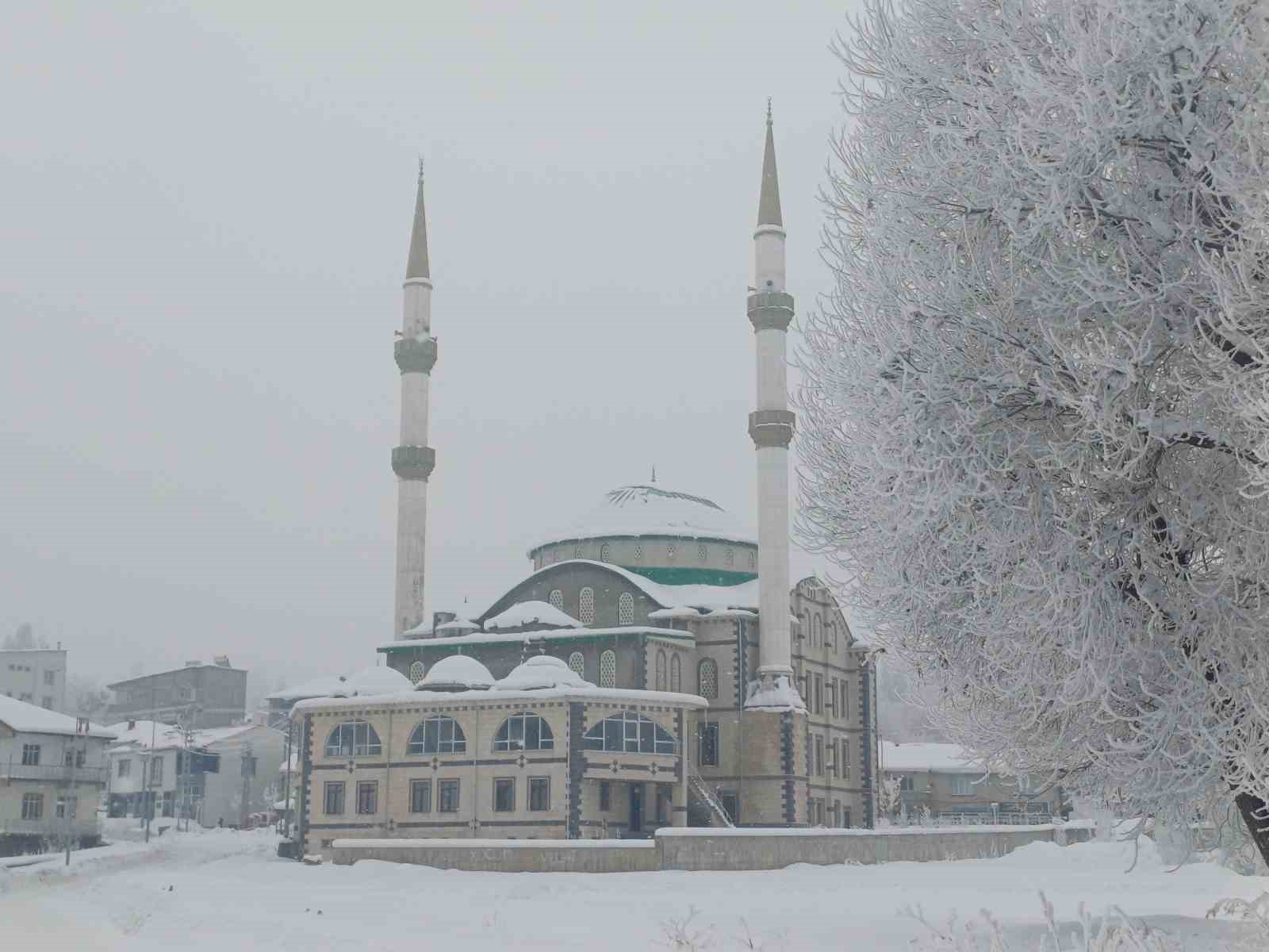 Malazgirt’te dondurucu soğuklar görsel şölene dönüştü
