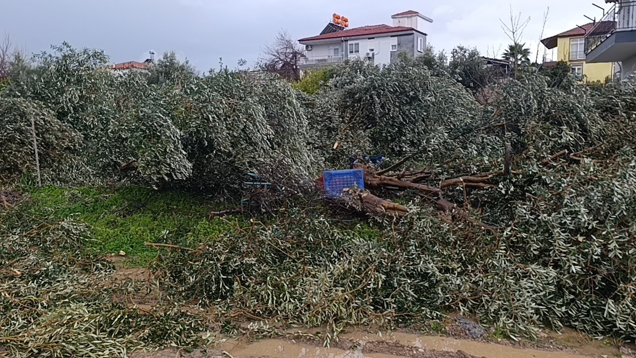 Manavgat’ta hortum 300 dönümlük alanda seraları yerle bir etti

