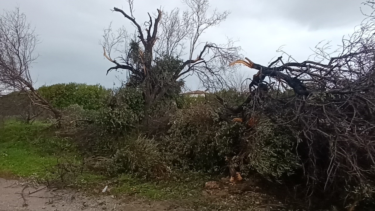 Manavgat’ta hortum 300 dönümlük alanda seraları yerle bir etti
