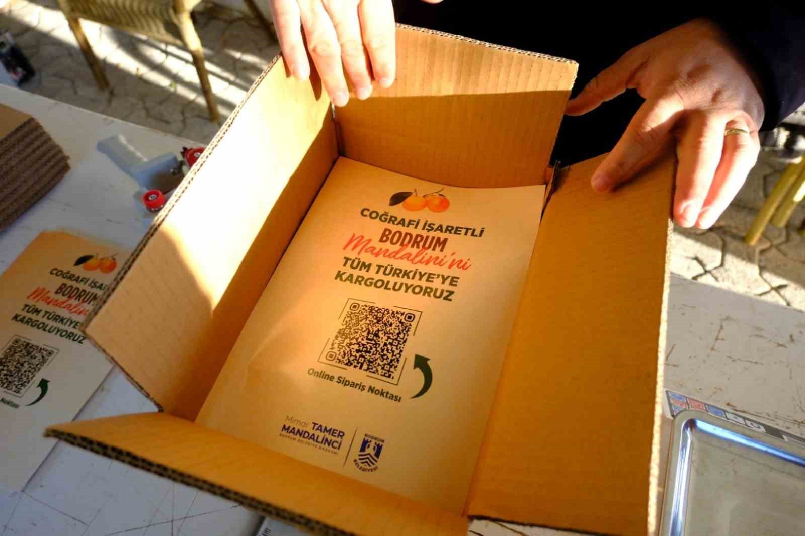 Mandalin üreticisine 5 milyon kazanç
