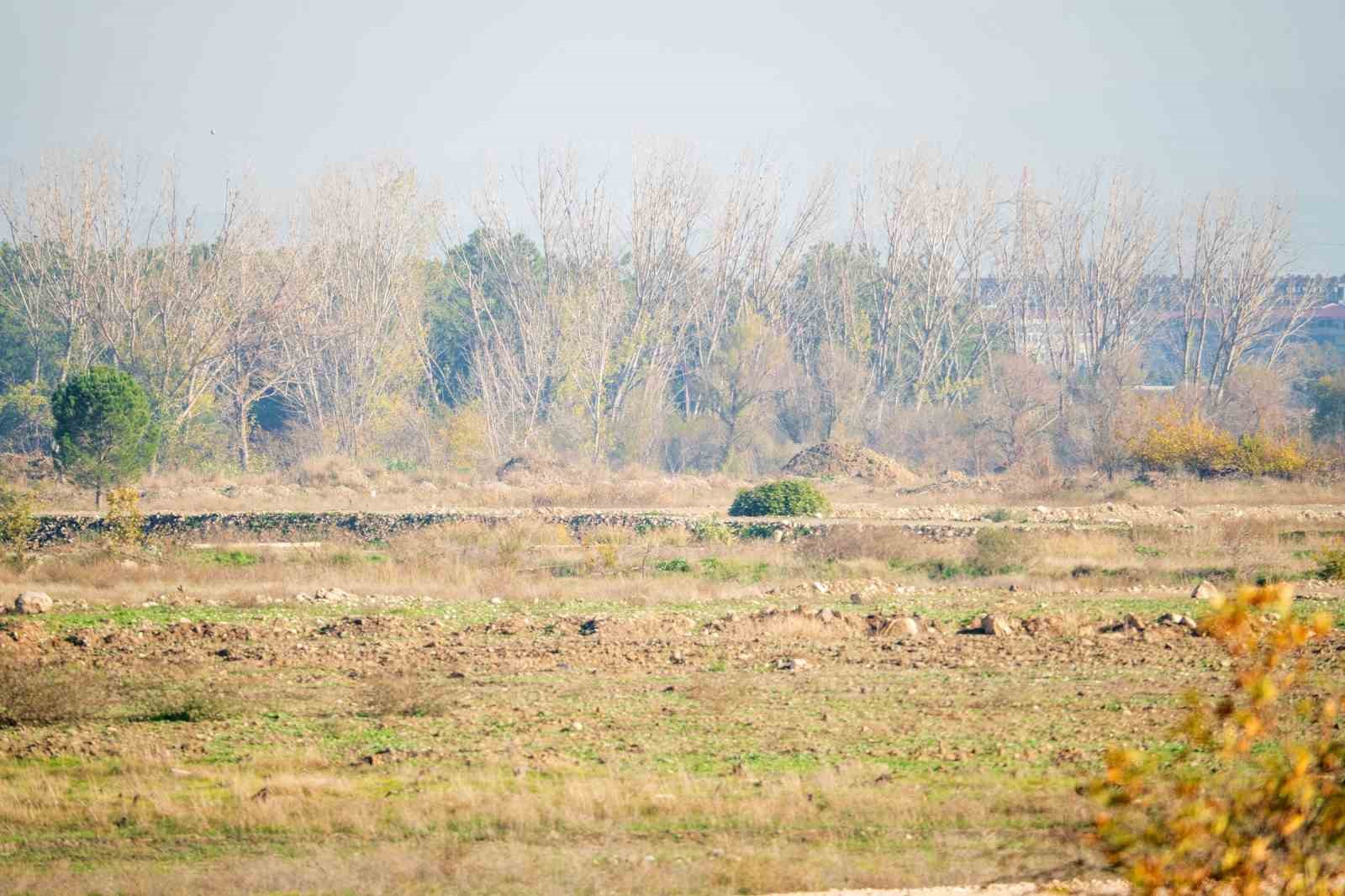 Manisa OSB Başkanı Türek, BYD hakkında konuştu
