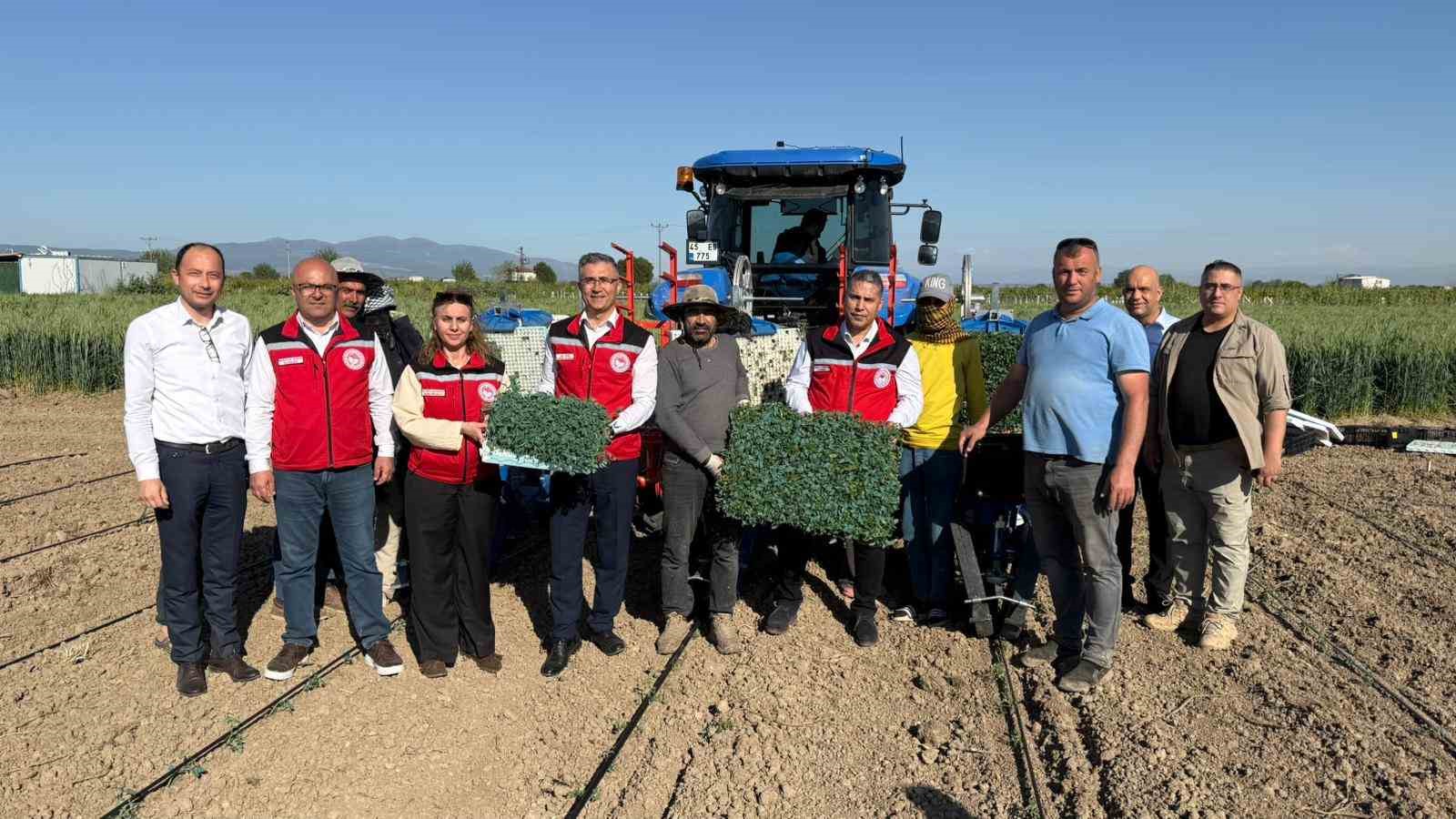 Manisa’da 131 bin dekarlık alanda domates mesaisi
