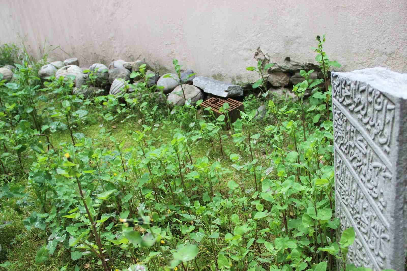 Manisa’da 500 yıllık hazireye saygısızlık
