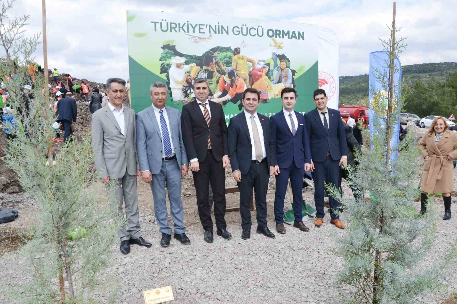 Manisa’da yanan alanlar yeniden yeşeriyor
