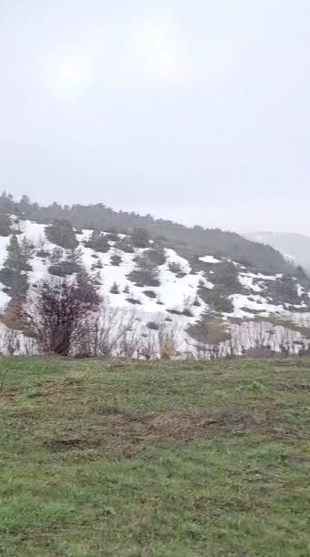 Mantar toplamak için araziye çıktı, nisan karı ile karşılaştı
