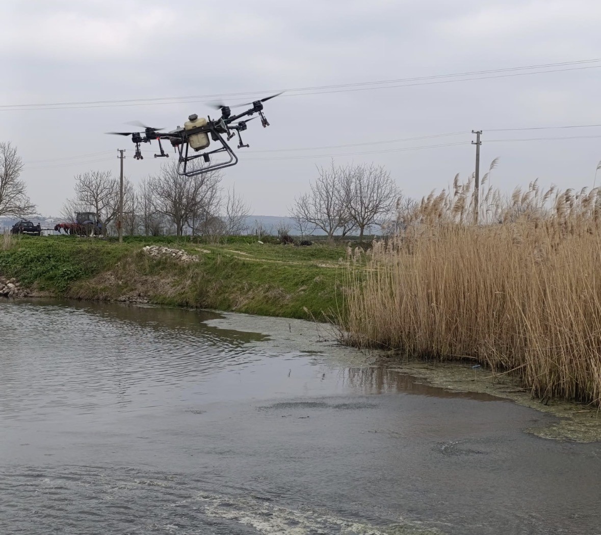 Manyas’ta sivrisinek ile mücadele seferberliği
Manyas’ta sivrisinek ile mücadele seferberliği